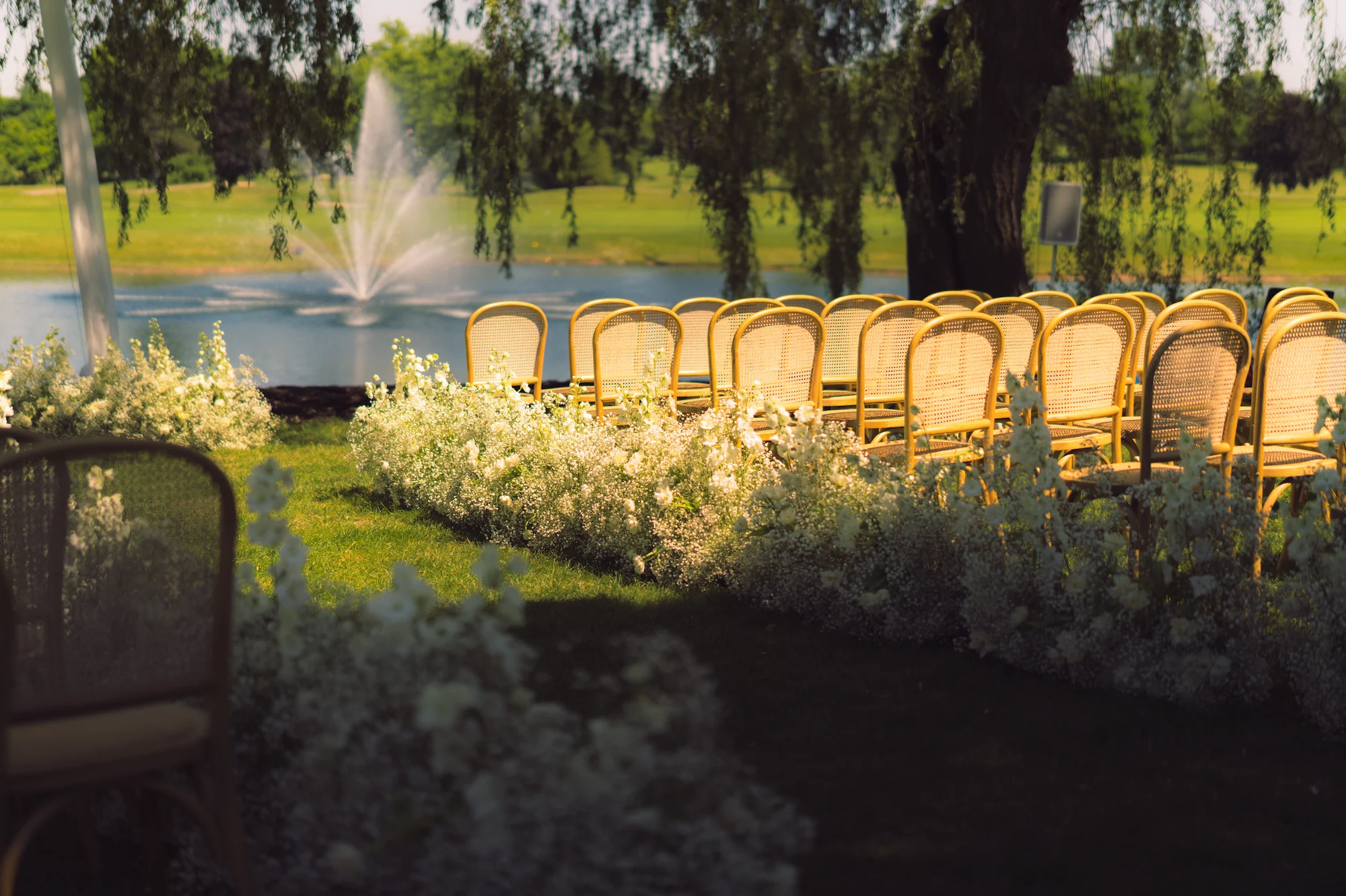 Weddings & Celebrations